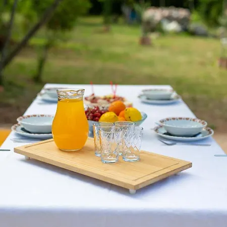 Mihael Apartamento *